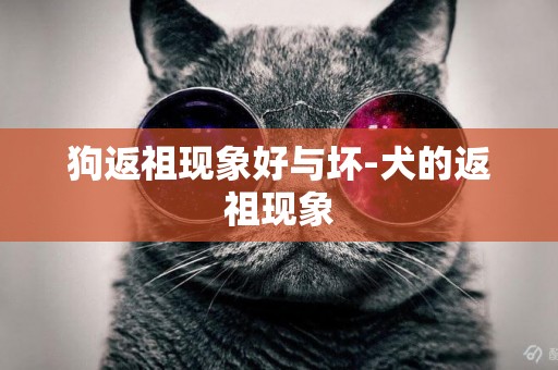 狗返祖現象好與壞-犬的返祖現象