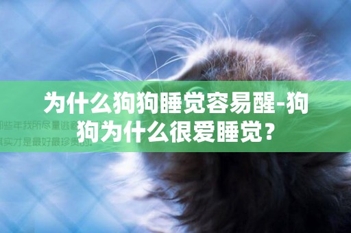 為什么狗狗睡覺容易醒-狗狗為什么很愛睡覺？