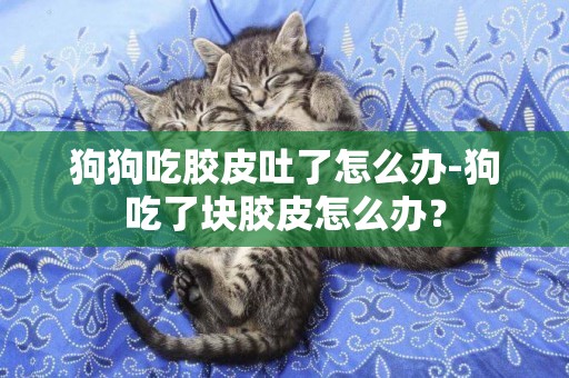 狗狗吃膠皮吐了怎么辦-狗吃了塊膠皮怎么辦？