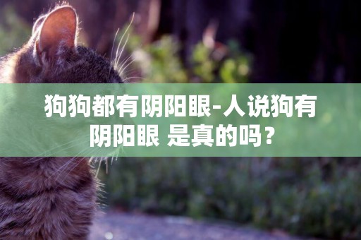 狗狗都有陰陽眼-人說狗有陰陽眼 是真的嗎？