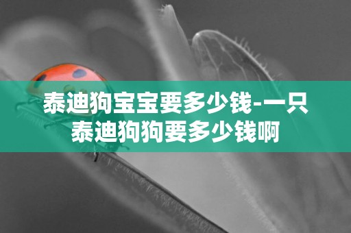 泰迪狗寶寶要多少錢-一只泰迪狗狗要多少錢啊
