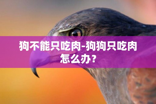 狗不能只吃肉-狗狗只吃肉怎么辦？