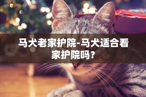 馬犬老家護院-馬犬適合看家護院嗎？