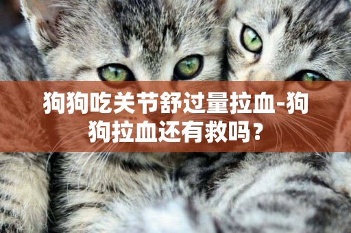 狗狗吃關節舒過量拉血-狗狗拉血還有救嗎？