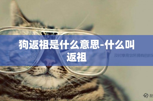 狗返祖是什么意思-什么叫返祖