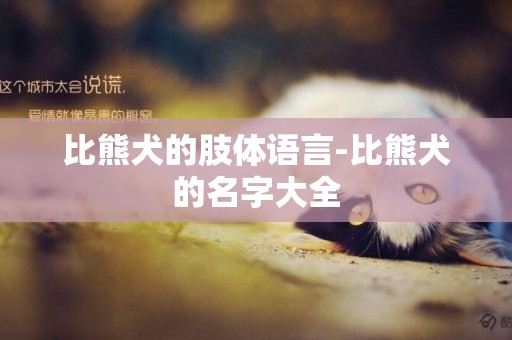比熊犬的肢體語言-比熊犬的名字大全