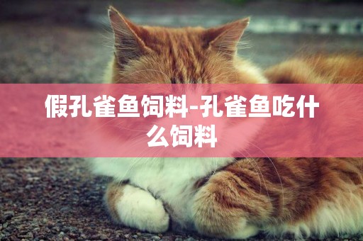 假孔雀魚飼料-孔雀魚吃什么飼料