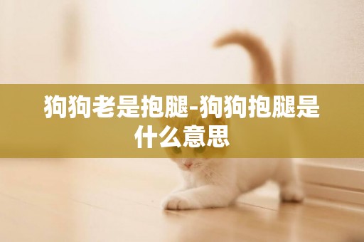 狗狗老是抱腿-狗狗抱腿是什么意思