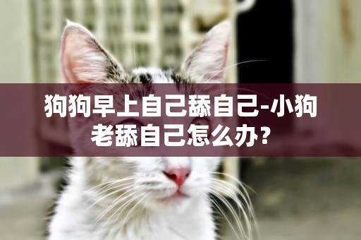 狗狗早上自己舔自己-小狗老舔自己怎么辦？