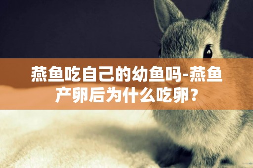 燕魚吃自己的幼魚嗎-燕魚產卵后為什么吃卵？