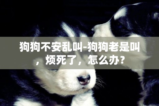 狗狗不安亂叫-狗狗老是叫，煩死了，怎么辦？