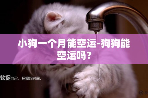 小狗一個月能空運-狗狗能空運嗎？