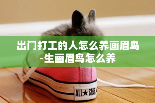 出門打工的人怎么養畫眉鳥-生畫眉鳥怎么養