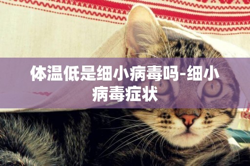 體溫低是細小病毒嗎-細小病毒癥狀