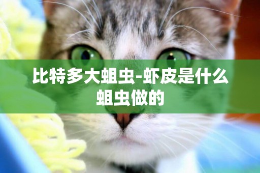 比特多大蛆蟲-蝦皮是什么蛆蟲做的