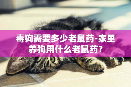 毒狗需要多少老鼠藥-家里養狗用什么老鼠藥？