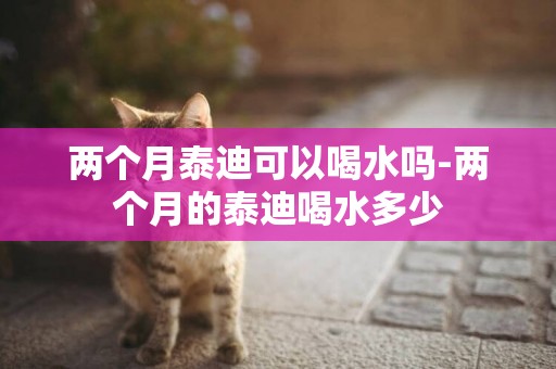 兩個月泰迪可以喝水嗎-兩個月的泰迪喝水多少