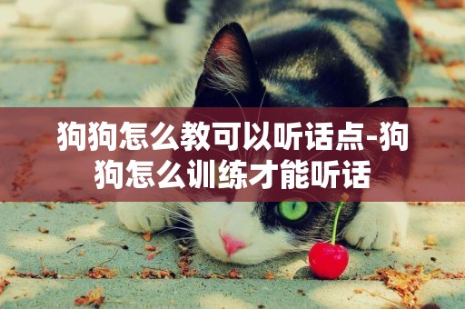 狗狗怎么教可以聽話點-狗狗怎么訓練才能聽話