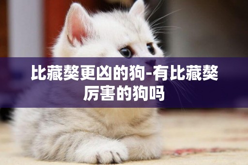 比藏獒更兇的狗-有比藏獒厲害的狗嗎
