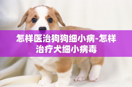 怎樣醫治狗狗細小病-怎樣治療犬細小病毒