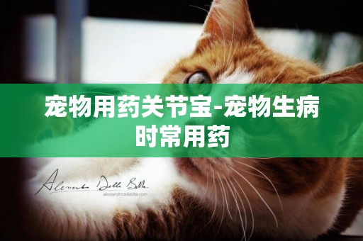 寵物用藥關節寶-寵物生病時常用藥