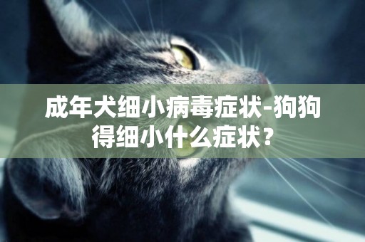 成年犬細小病毒癥狀-狗狗得細小什么癥狀？