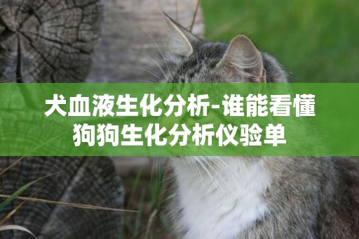 犬血液生化分析-誰能看懂狗狗生化分析儀驗單