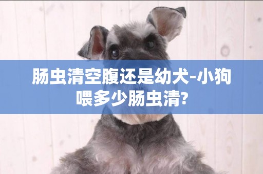 腸蟲清空腹還是幼犬-小狗喂多少腸蟲清?