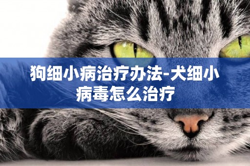 狗細小病治療辦法-犬細小病毒怎么治療