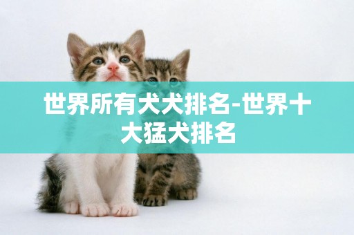 世界所有犬犬排名-世界十大猛犬排名