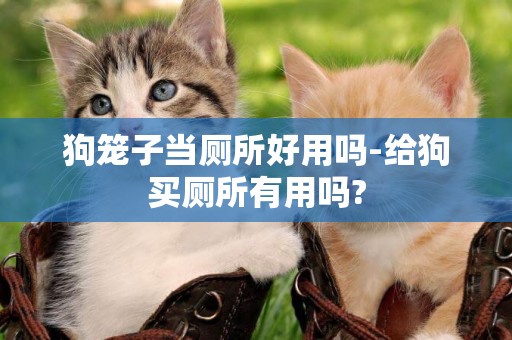 狗籠子當廁所好用嗎-給狗買廁所有用嗎?