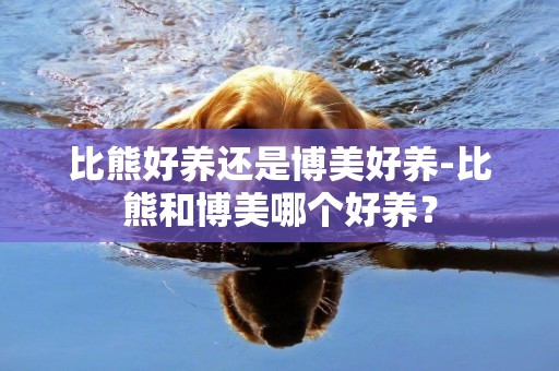 比熊好養還是博美好養-比熊和博美哪個好養？