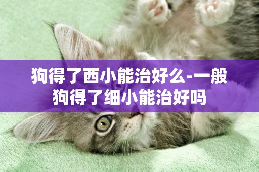 狗得了西小能治好么-一般狗得了細小能治好嗎