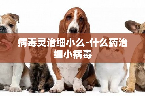 病毒靈治細小么-什么藥治細小病毒