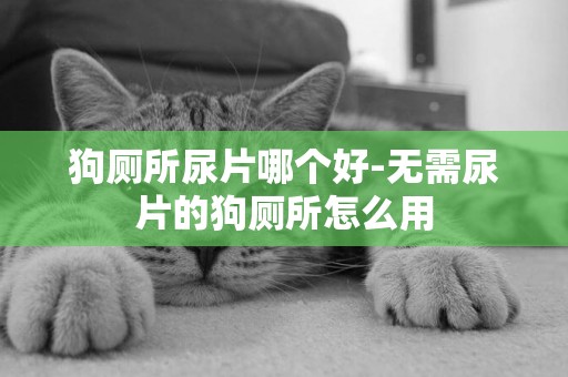 狗廁所尿片哪個好-無需尿片的狗廁所怎么用
