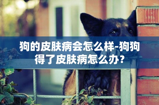 狗的皮膚病會怎么樣-狗狗得了皮膚病怎么辦？