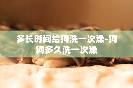 多長時間給狗洗一次澡-狗狗多久洗一次澡