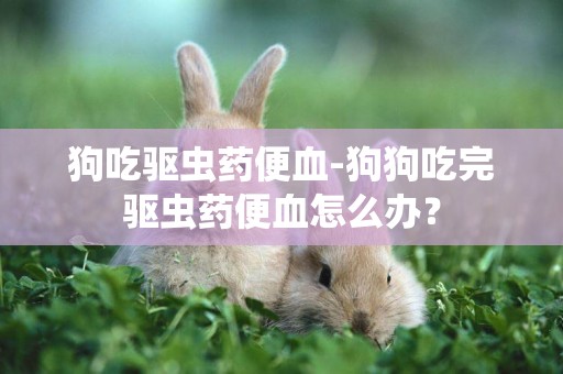 狗吃驅蟲藥便血-狗狗吃完驅蟲藥便血怎么辦？