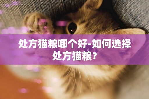 處方貓糧哪個好-如何選擇處方貓糧？