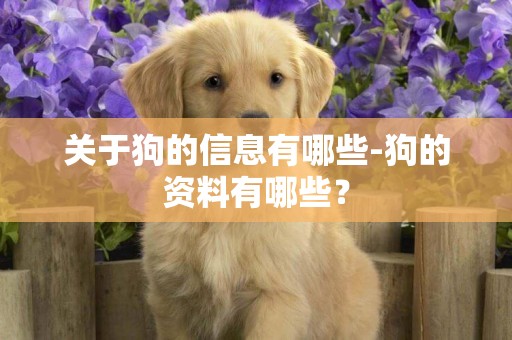 關于狗的信息有哪些-狗的資料有哪些？