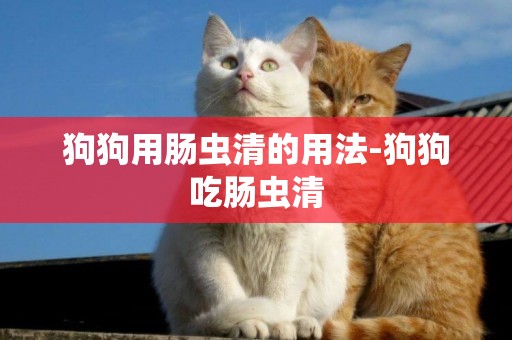 狗狗用腸蟲清的用法-狗狗吃腸蟲清
