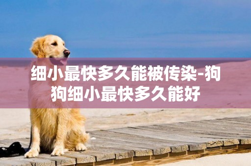細小最快多久能被傳染-狗狗細小最快多久能好