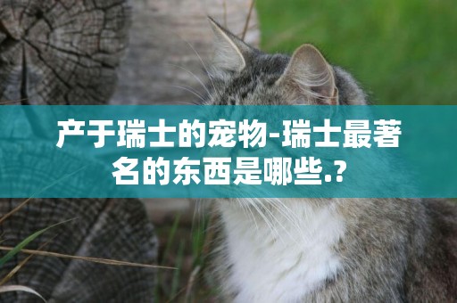 產于瑞士的寵物-瑞士最著名的東西是哪些.?