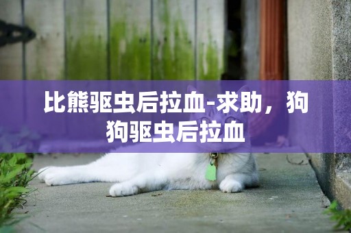 比熊驅蟲后拉血-求助，狗狗驅蟲后拉血