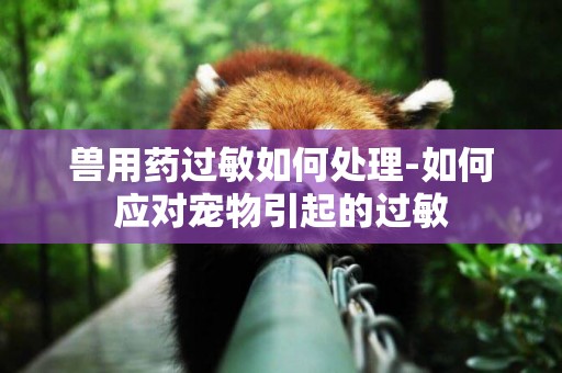 獸用藥過敏如何處理-如何應對寵物引起的過敏