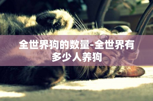 全世界狗的數量-全世界有多少人養狗