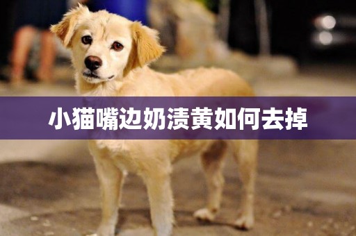 小貓嘴邊奶漬黃如何去掉