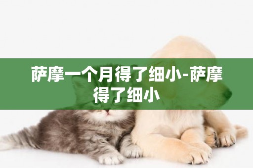 薩摩一個月得了細小-薩摩得了細小