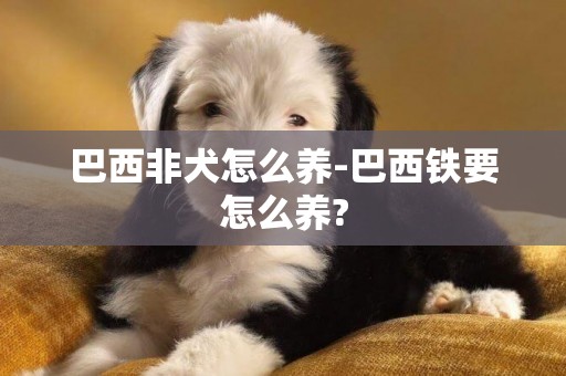 巴西非犬怎么養-巴西鐵要怎么養?