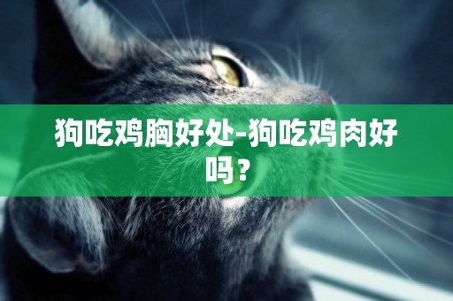 狗吃雞胸好處-狗吃雞肉好嗎？